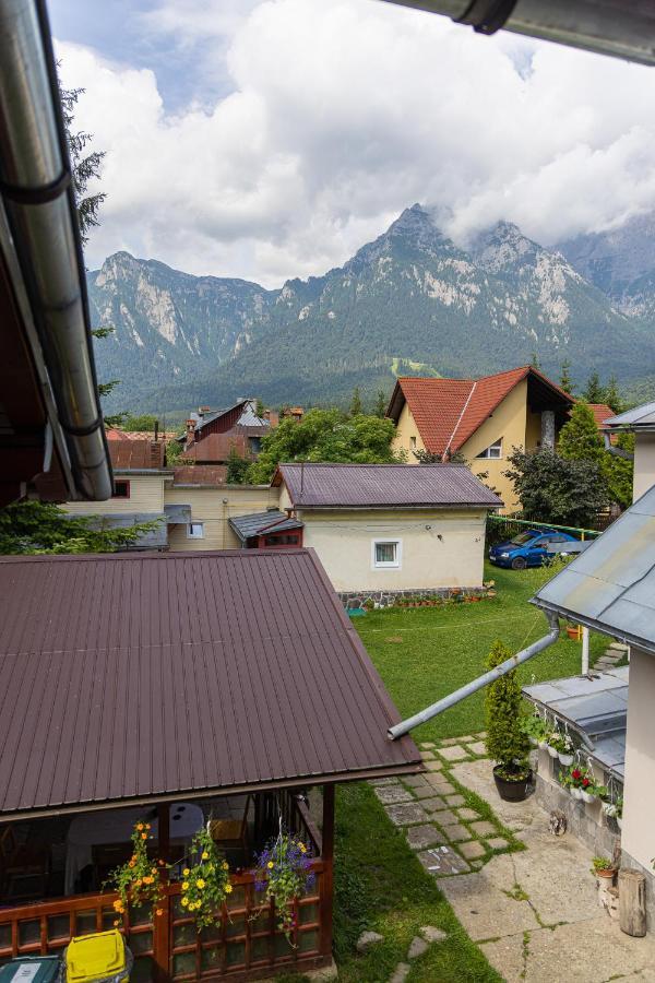 Pensiunea Montan Busteni Hotel Exterior photo