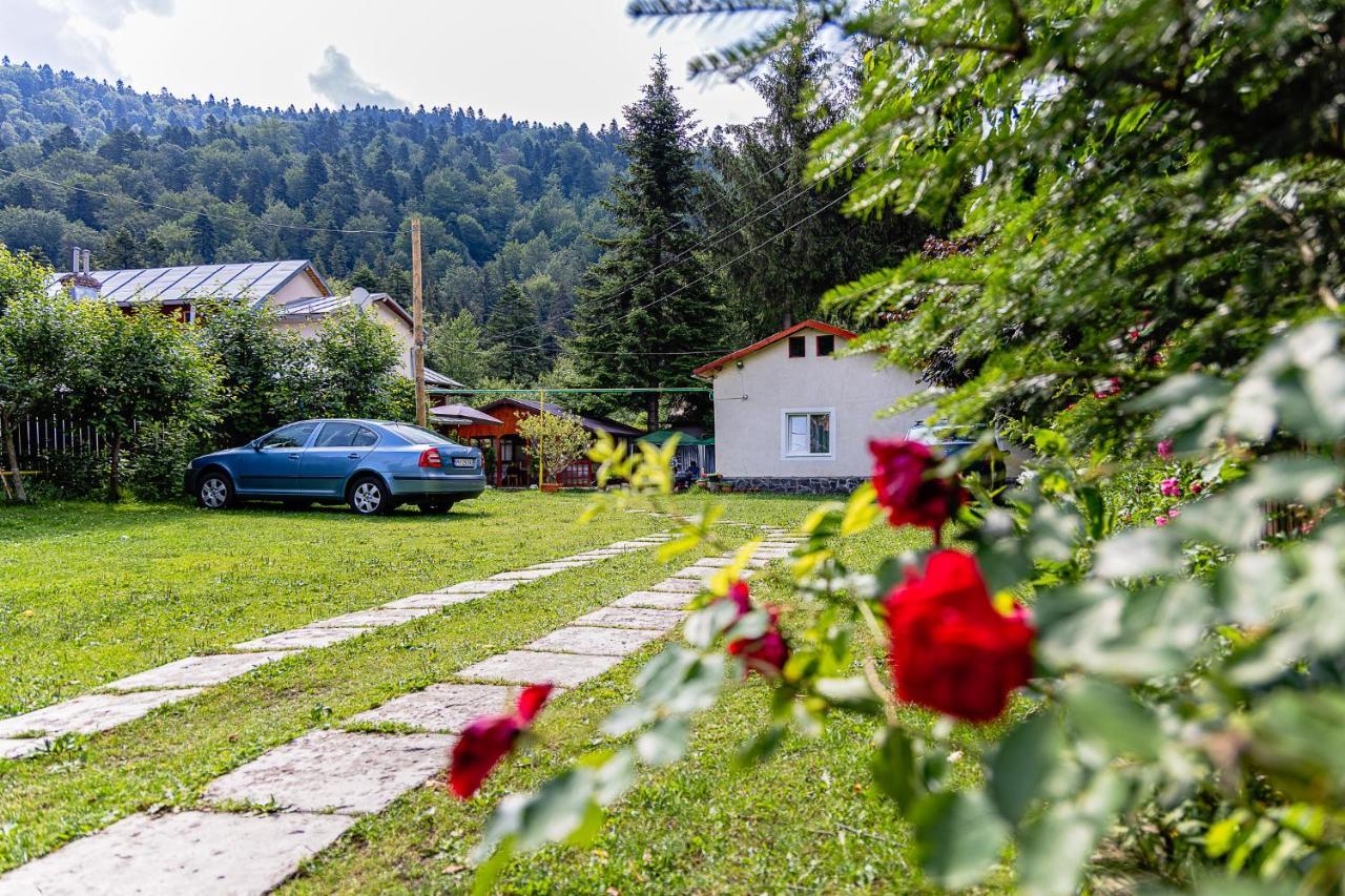 Pensiunea Montan Busteni Hotel Exterior photo