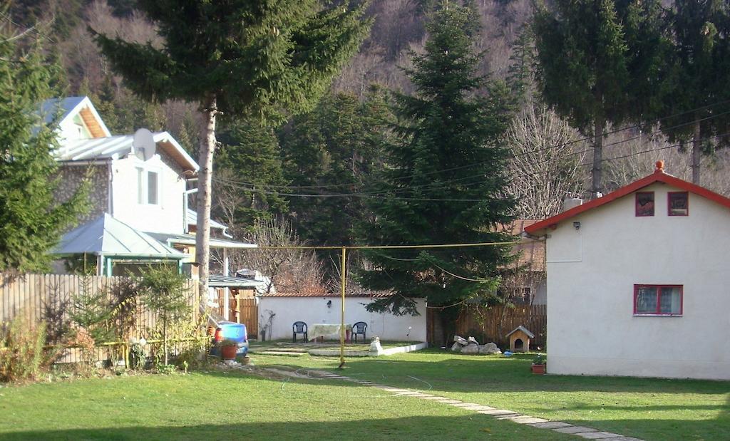 Pensiunea Montan Busteni Hotel Exterior photo