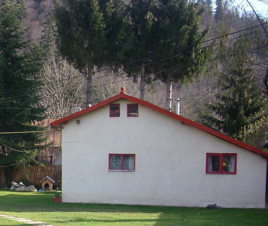 Pensiunea Montan Busteni Hotel Exterior photo