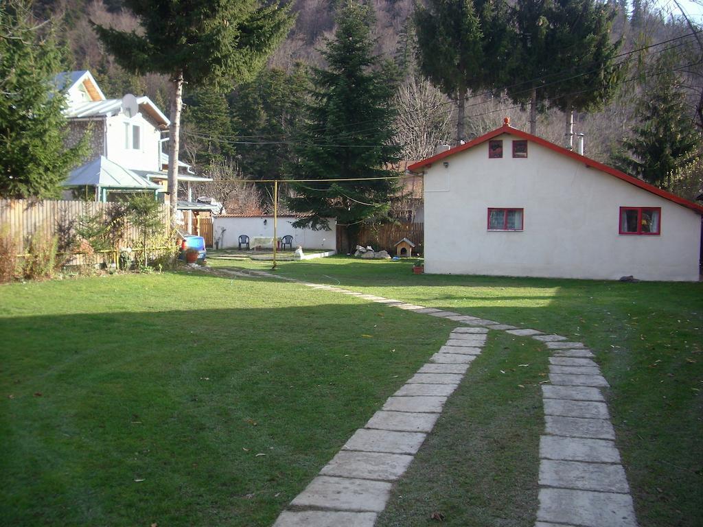 Pensiunea Montan Busteni Hotel Exterior photo